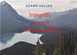 Values